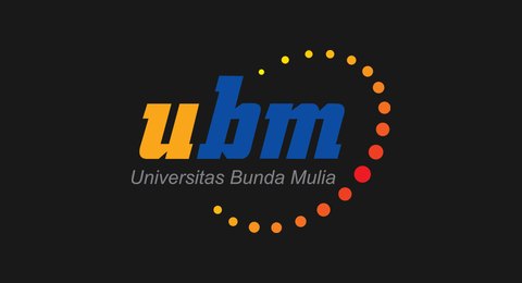Universitas Bunda Mulia